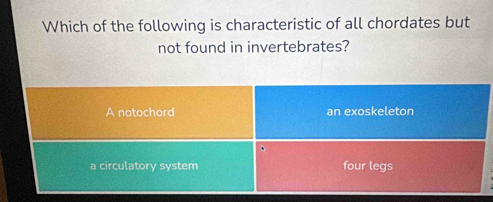 Which of the following is characteristic of all chordates but
not found in invertebrates?
A notochord an exoskeleton
a circulatory system four legs