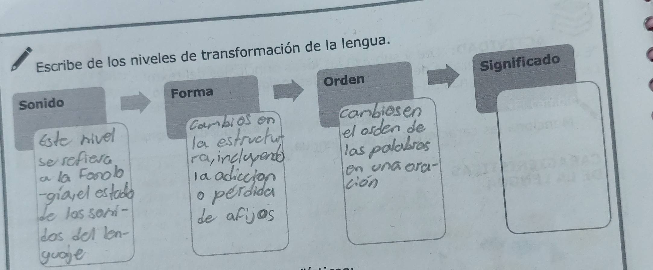 Escribe de los niveles de transformación de la lengua. 
Forma Orden Significado 
Sonido