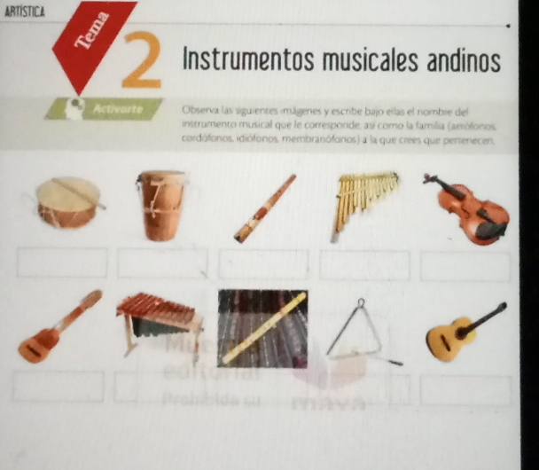 ARTISTICA 
I Instrumentos musicales andinos 
Activarte Observa las siguientes imágeres y escribe bajo ellas el nombie del 
instrumento musical que le corresporide, así como la familia (aerófonos, 
cordófonos, idiófonos, membranófonos) a la que crees que pertenecen.