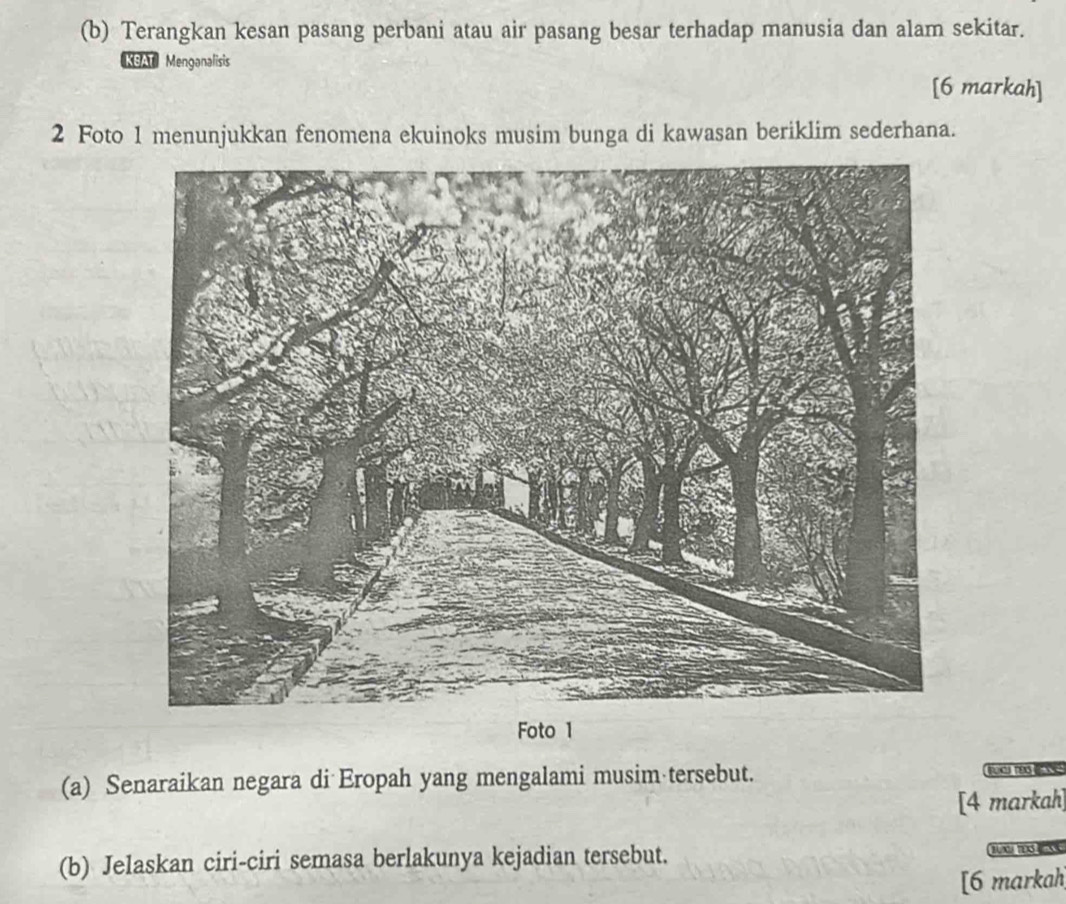 Terangkan kesan pasang perbani atau air pasang besar terhadap manusia dan alam sekitar. 
KBAT Menganalisis 
[6 markah] 
2 Foto 1 menunjukkan fenomena ekuinoks musim bunga di kawasan beriklim sederhana. 
Foto 1 
(a) Senaraikan negara di Eropah yang mengalami musim tersebut. Teo 
[4 markah] 
(b) Jelaskan ciri-ciri semasa berlakunya kejadian tersebut. a ted 
[6 markah