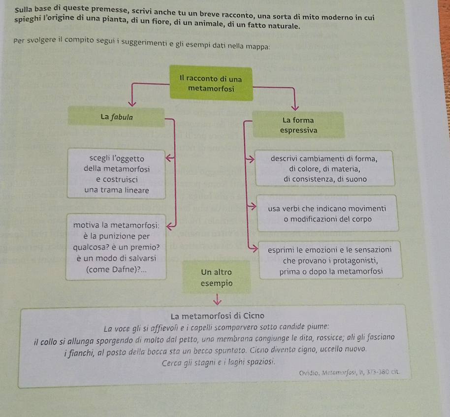 Sulla base di queste premesse, scrivi anche tu un breve racconto, una sorta di mito moderno in cui 
spieghi l’origine di una pianta, di un fiore, di un animale, di un fatto naturale. 
Per svolgere il compito segui i suggerimenti e gli esempi dati nella mappa: 
Il racconto di una 
metamorfosi 
La fabula La forma 
espressiva 
scegli l’oggetto descrivi cambiamenti di forma, 
della metamorfosi di colore, di materia, 
e costruisci di consistenza, di suono 
una trama lineare 
usa verbi che indicano movimenti 
o modificazioni del corpo 
motiva la metamorfosi: 
è la punizione per 
qualcosa? è un premio? esprimi le emozioni e le sensazioni 
é un modo di salvarsi che provano i protagonisti, 
(come Dafne)?... Un altro prima o dopo la metamorfosi 
esempio 
La metamorfosi di Cicno 
La voce gli si affievoli e i capelli scomparvero sotto candide piume: 
il collo si allunga sporgendo di molto dal petto, una membrana congiunge le dita, rossicce; ali gli fasciano 
i fianchi, al posto della bocca sta un becco spuntato. Cicno diventa cigno, uccello nuovo. 
Cerca gii stagni e i laghi spaziosi. 
Ovidio, Metamorfosi, II, 373-380 cit