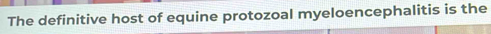 The definitive host of equine protozoal myeloencephalitis is the
