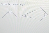 Circle the acute angle