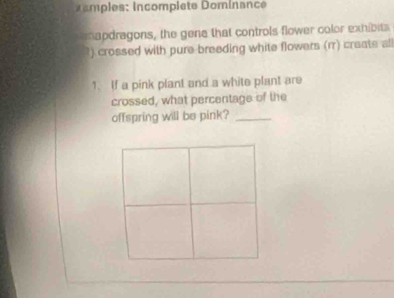 amples: incomplete Dominance 
apdragons, the gene that controls flower color exhibits 
) crossed with pure-breeding white flowers (rr) creats all 
1. If a pink plant and a white plant are 
crossed, what percentage of the 
offspring will be pink?_