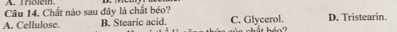 Triolein.
Câu 14. Chất nào sau đây là chất béo?
A. Cellulose. B. Stearic acid. C. Glycerol. D. Tristearin.
hất héo ?