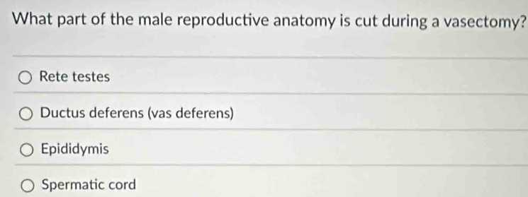 Solved: What part of the male reproductive anatomy is cut during a ...