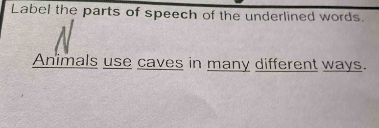 Solved: Label the parts of speech of the underlined words. Animals use ...