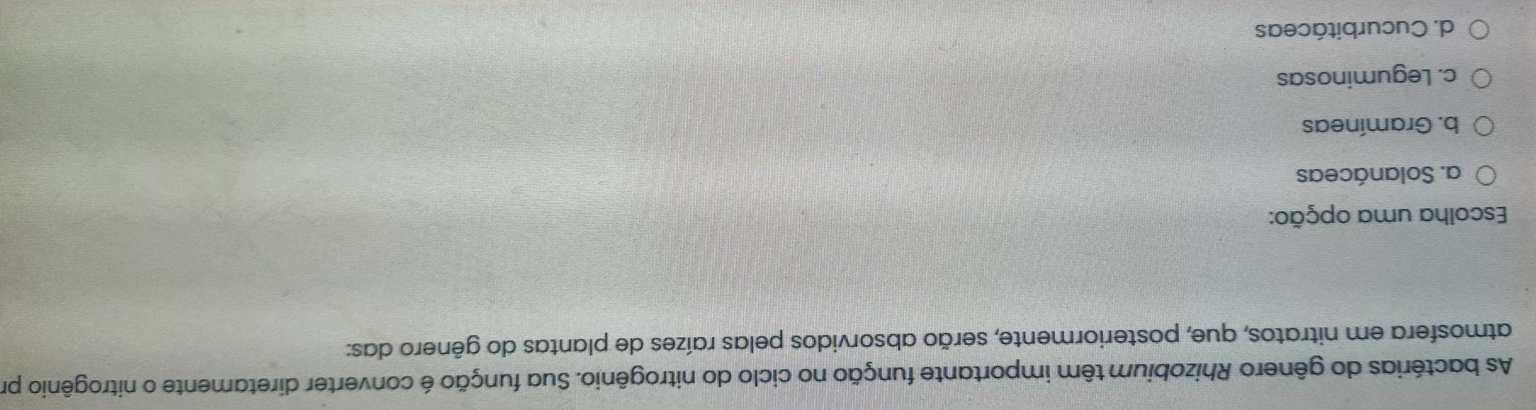 As bactérias do gênero Rhizobium têm importante função no ciclo do nitrogênio. Sua função é converter diretamente o nitrogênio pr
atmosfera em nitratos, que, posteriormente, serão absorvidos pelas raízes de plantas do gênero das:
Escolha uma opção:
a. Solanáceas
b. Gramíneas
c. Leguminosas
d. Cucurbitáceas