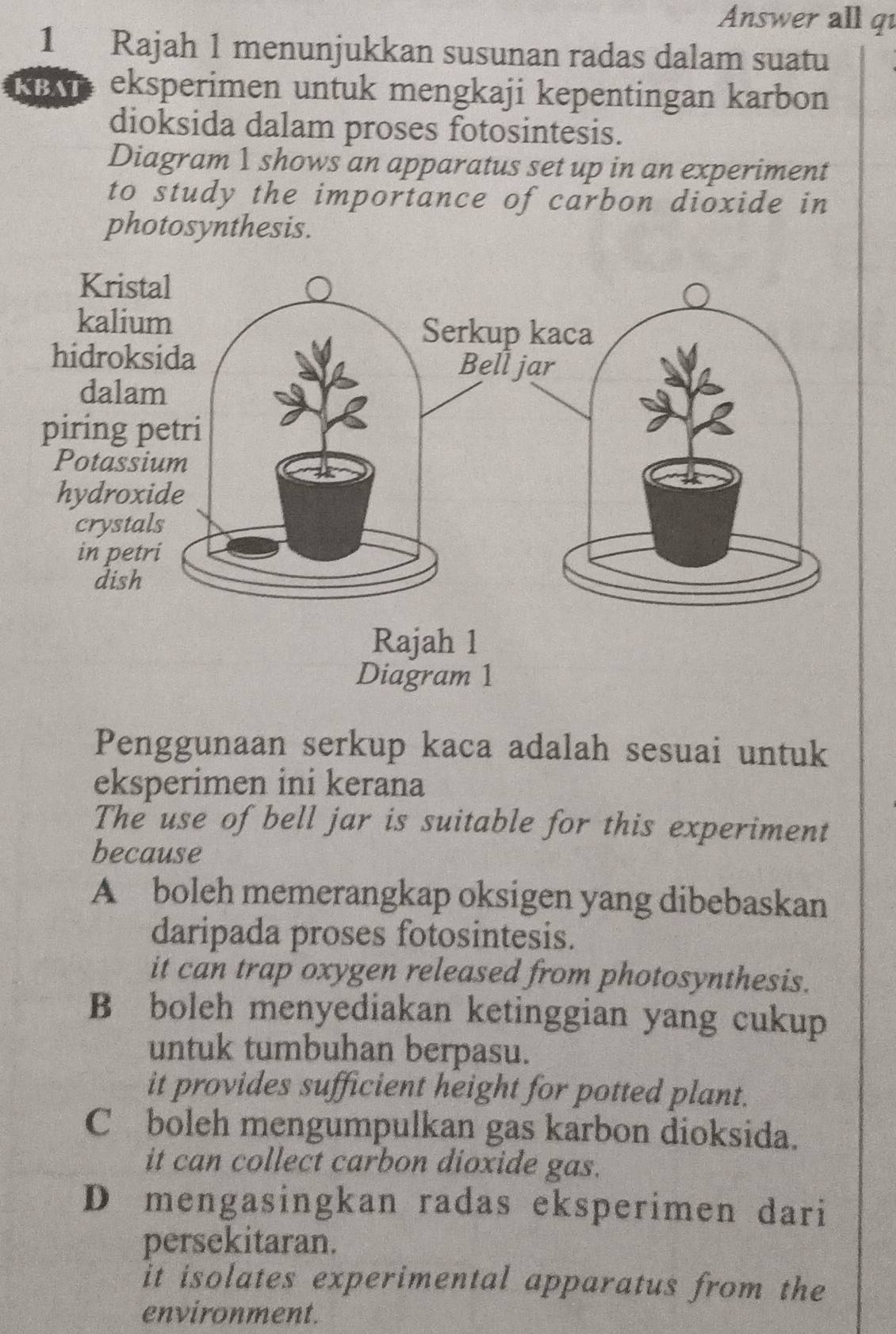 Answer all qu
1 Rajah 1 menunjukkan susunan radas dalam suatu
Kn eksperimen untuk mengkaji kepentingan karbon
dioksida dalam proses fotosintesis.
Diagram 1 shows an apparatus set up in an experiment
to study the importance of carbon dioxide in
photosynthesis.
Kris
kaliu
hidrok
dala
piring 
Potass
hydrox
crysta
in pet
dish
Diagram 1
Penggunaan serkup kaca adalah sesuai untuk
eksperimen ini kerana
The use of bell jar is suitable for this experiment
because
A boleh memerangkap oksigen yang dibebaskan
daripada proses fotosintesis.
it can trap oxygen released from photosynthesis.
B boleh menyediakan ketinggian yang cukup
untuk tumbuhan berpasu.
it provides sufficient height for potted plant.
C boleh mengumpulkan gas karbon dioksida.
it can collect carbon dioxide gas.
D mengasingkan radas eksperimen dari
persekitaran.
it isolates experimental apparatus from the
environment.