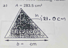 a ) A=283.5cm^2