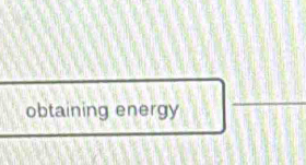 obtaining energy 
_