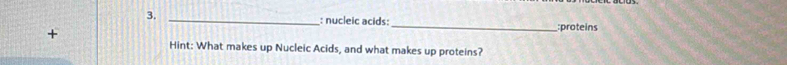 3._ 
: nucleic acids:_ :proteins 
+ 
Hint: What makes up Nucleic Acids, and what makes up proteins?