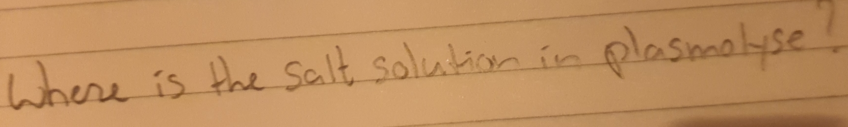 Where is the salt solution in plasmolyse?