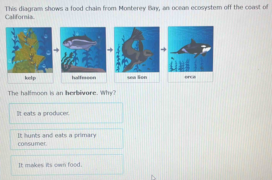 Solved: This diagram shows a food chain from Monterey Bay, an ocean ...