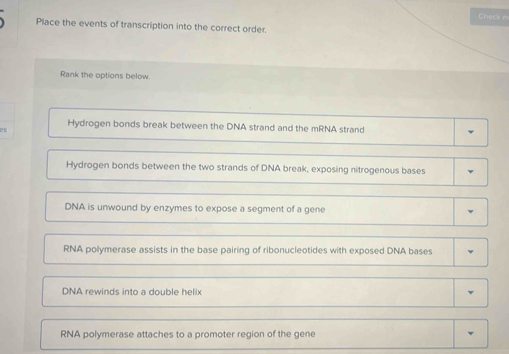 Solved: Check m Place the events of transcription into the correct ...