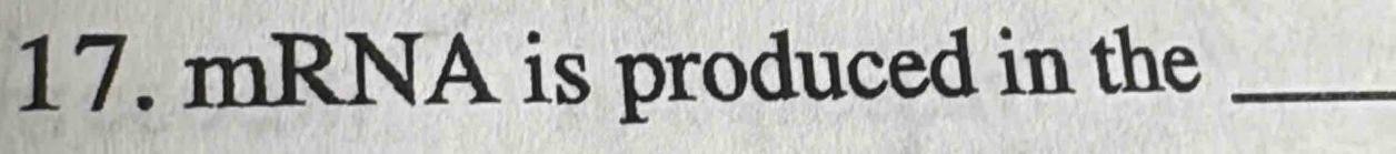 mRNA is produced in the_