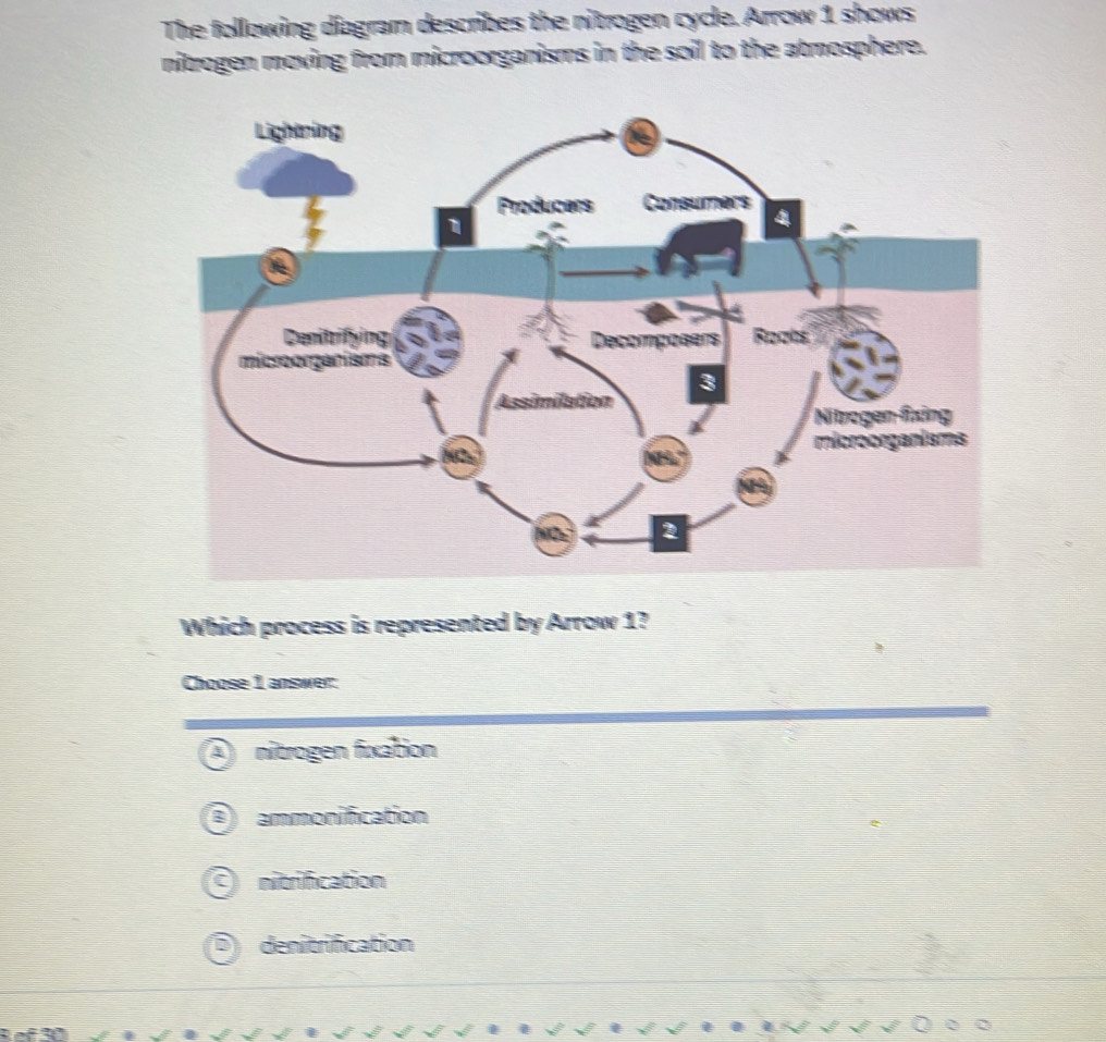 The following diagram describes the nitrogen cycle. Arrow 1 shows
nitrogen moving from microorganisms in the soil to the atmosphere.
Which process is represented by Arrow 1?
Choose 1 answer:
nitrogen fixation
I ammonification
E nitrification
denitrification