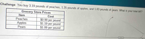 Challenge You buy 3.19 pounds of peunds of apples, and 1.83 pounds of pears. What is your total bill?