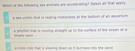 Which of the following sea animals are accelerating? Select all that apply.
a sea urchin that is resting motionless at the bottom of an aquarium
a jellyfish that is moving straight up to the surface of the ocean at a
steady pace
a mole crab that is slowing down as it burrows into the sand