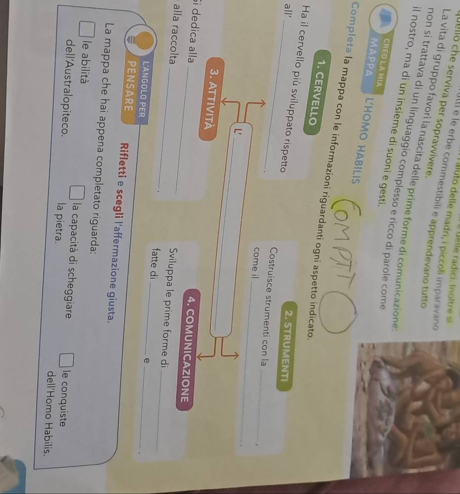 elle radici. Inoltre s 
I aluto delle madri, i piccoli imparavano 
uello che serviva per sopravvivere. 
Ilti e le erbe commestibili e apprendevano tutto 
La vita di gruppo favorì la nascita delle prime forme di comunicazione 
non si trattava di un linguaggio complesso e ricco di parole com 
il nostro, ma di un insieme di suoni e gesti. 
CREO LA MIA 
MAPPA L'HOMO HABILIs 
Completa la mappa con le informazioni riguardanti ogni aspetto indicato. 
1. CERVELLO 
Ha il cervello più sviluppato rispetto 
all'_ 2. STRUMENTI 
_ 
Costruisce strumenti con la _. 
. 
come il 
_ 
__ 
L 
3. ATTIVITÀ 
Si dedica alla 
4. COMUNICAZIONE 
alla raccolta 
_ 
_ 
_Sviluppa le prime forme di 
. fatte di 
L'ANGOLO PER 
_ 
_e 
. 
PENSARE Rifletti e scegli l'affermazione giusta. 
La mappa che hai appena completato riguarda: 
le abilità la capacità di scheggiare le conquiste 
dell'Australopiteco. la pietra. dell'Homo Habilis.