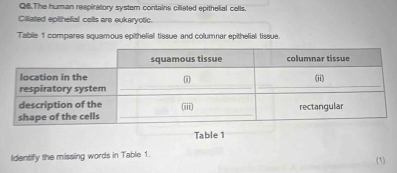 Q6.The human respiratory system contains ciliated epithelial cells. 
Cilliated epithelial cells are eukaryotic. 
Tablie 1 compares squamous epithelial tissue and columnar epithelial tissue. 
Table 1 
Identify the missing words in Table 1. 
(1)