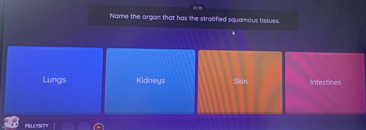 21/25
Name the organ that has the stratified squamous tissues.
Lungs Kidneys Skin Intestines
FELLYSITY