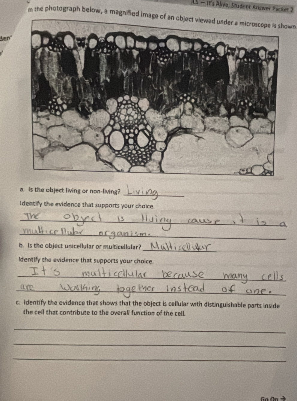 ILS — It's Alive, Student Answer Packet 2 
m the photograph below, a magnified image of an object viewed under a microscope is shown 
den´ 
_ 
a. Is the object living or non-living? 
Identify the evidence that supports your choice. 
_ 
_ 
_ 
b. Is the object unicellular or multicellular? 
Identify the evidence that supports your choice. 
_ 
_ 
c. Identify the evidence that shows that the object is cellular with distinguishable parts inside 
the cell that contribute to the overall function of the cell. 
_ 
_ 
_