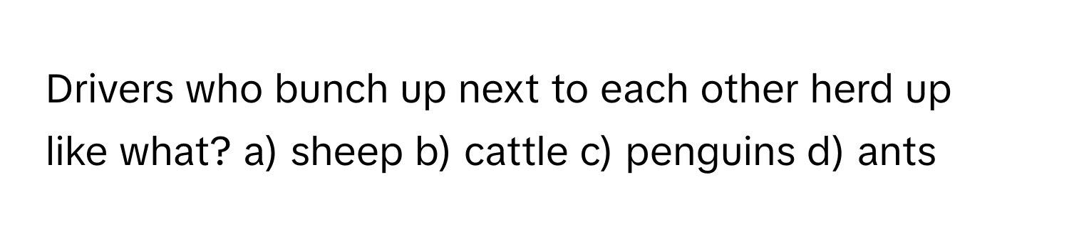 Drivers who bunch up next to each other herd up like what?  a) sheep b) cattle c) penguins d) ants