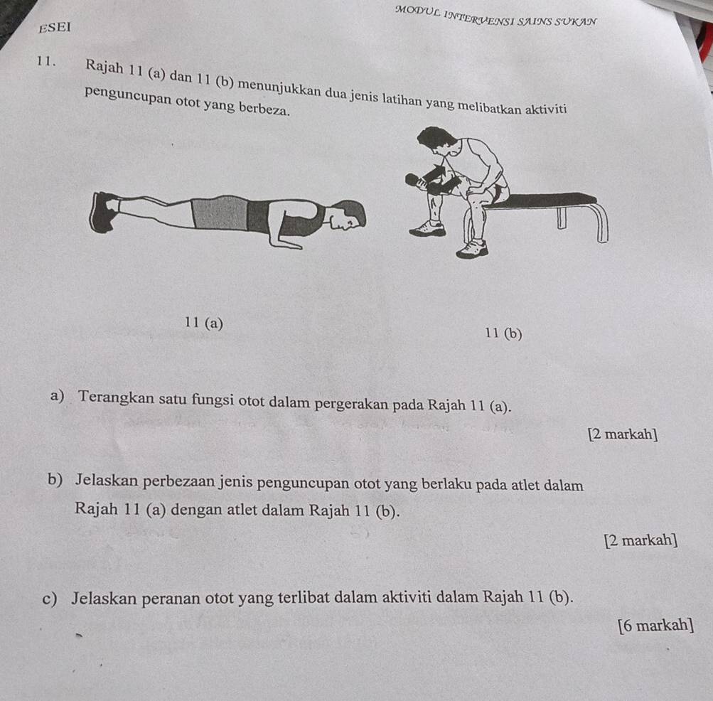 MODUL INTERVENSI SAINS SUKAN 
ESEI 
11. Rajah 11 (a) dan 11 (b) menunjukkan dua jenis latihan yang melibatkan aktiviti 
penguncupan otot yang berbeza. 
11 (a) 11 (b) 
a) Terangkan satu fungsi otot dalam pergerakan pada Rajah 11 (a). 
[2 markah] 
b) Jelaskan perbezaan jenis penguncupan otot yang berlaku pada atlet dalam 
Rajah 11 (a) dengan atlet dalam Rajah 11 (b). 
[2 markah] 
c) Jelaskan peranan otot yang terlibat dalam aktiviti dalam Rajah 11 (b). 
[6 markah]