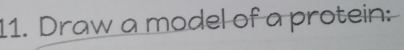 Draw a model of a protein: