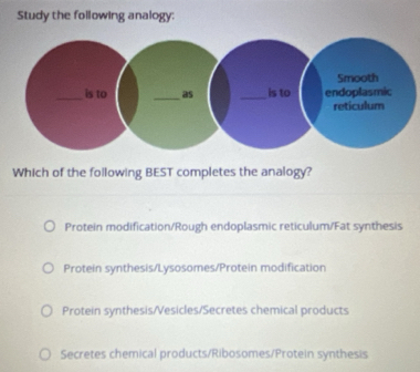 Study the following analogy:
Which of the following BEST completes the analogy?
Protein modification/Rough endoplasmic reticulum/Fat synthesis
Protein synthesis/Lysosomes/Protein modification
Protein synthesis/Vesicles/Secretes chemical products
Secretes chemical products/Ribosomes/Protein synthesis