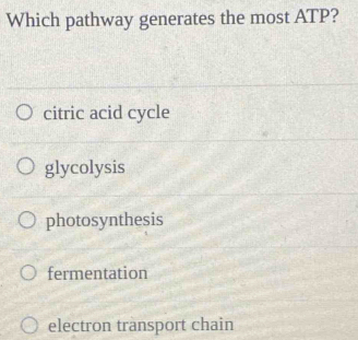 Which pathway generates the most ATP?
citric acid cycle
glycolysis
photosynthesis
fermentation
electron transport chain