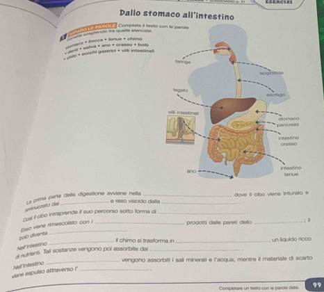 Dallo stomaco all'intestino 
md do mnote Compreta it testo 
a etaa seegiendo tra queña elencate. 
pomace + bocca + tenue + chimo 
aai « salva * ano « crasso * holo 
* cho * succhi gastrici * villi infestinali 
e reso viscido dalla , dove il cibo viene triturato e 
sinuzzato dai La prima parte della digestione awiene nella_ 
Cosl il cibo intraprende il suo percorso sotto forma di_ 
Esse viene rimescolato con 
prodotti dalle pareti dello _; i 
bolo diventa 
_ll chimo si trasforma in _, un liquido rícco 
Nal intestino 
d autrienti. Tali sostanze vengono pol assorbite dal_ 
_vengono assorbiti i sali minerali e l'acqua, mentre il materiale di scarto 
viene espulso attraverso !' Nell intestino_ 
Completare un testo con le parole date. 99