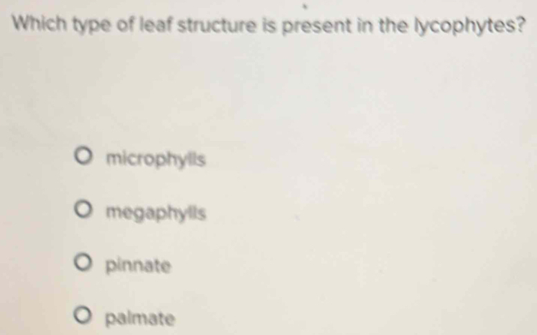 Solved: Which type of leaf structure is present in the lycophytes ...