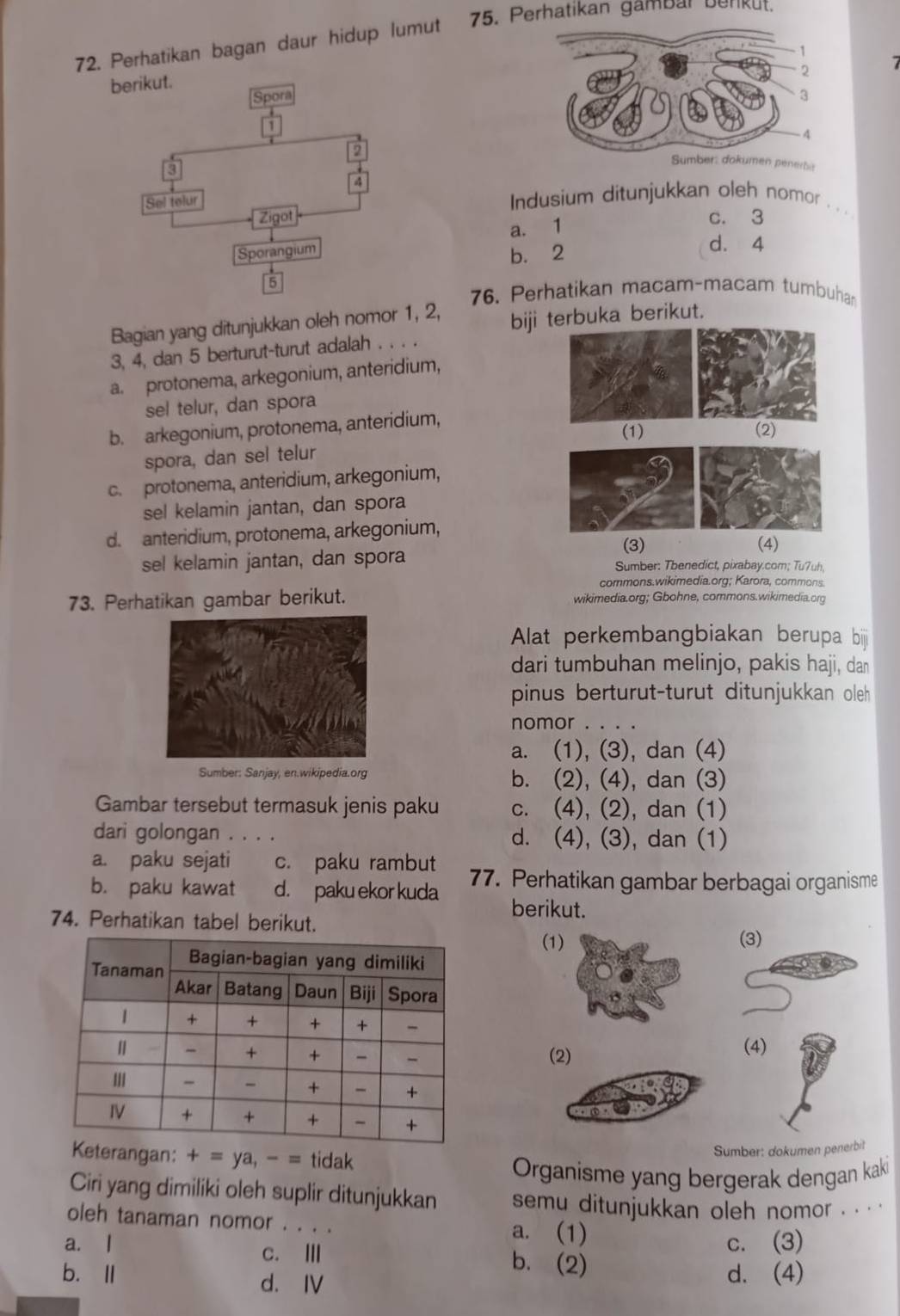 Perhatikan bagan daur hidup lumut 75. Perhatikan gambar berküt.
b
Indusium ditunjukkan oleh nomor . . . .
c. 3
a. 1
b. 2
d. 4
5
76. Perhatikan macam-macam tumbuhan
Bagian yang ditunjukkan oleh nomor 1, 2, biji terbuka berikut.
3, 4, dan 5 berturut-turut adalah . . . .
a. protonema, arkegonium, anteridium,
sel telur, dan spora
(1)
b. arkegonium, protonema, anteridium,(2)
spora, dan sel telur
c. protonema, anteridium, arkegonium,
sel kelamin jantan, dan spora
d. anteridium, protonema, arkegonium,(4)
(3)
sel kelamin jantan, dan spora  Sumber: Tbenedict, pixabay.com; Tuʔuh
commons.wikimedia.org; Karora, commons.
73. Perhatikan gambar berikut. wikimedia.org; Gbohne, commons.wikimedia.org
Alat perkembangbiakan berupa biji
dari tumbuhan melinjo, pakis haji, dan
pinus berturut-turut ditunjukkan oleh 
nomor . . . .
a. (1), (3), dan (4)
Sumber: Sanjay, en.wikipedia.org b. (2), (4), dan (3)
Gambar tersebut termasuk jenis paku c. (4), (2), dan (1)
dari golongan . . . . d. (4), (3), dan (1)
a. paku sejati c. paku rambut
b. paku kawat d. paku ekor kuda 77. Perhatikan gambar berbagai organisme
berikut.
74. Perhatikan tabel berikut.
(1(3)
(2)
(4)
gan: + = ya, - = tidak
Sumber: dokumen penerbit
Organisme yang bergerak dengan kaki
Ciri yang dimiliki oleh suplir ditunjukkan semu ditunjukkan oleh nomor . . . '
oleh tanaman nomor . . . . a. (1)
c. (3)
a. l c. Ⅲ b. (2)
b. Ⅲ d. Ⅳ
d. (4)