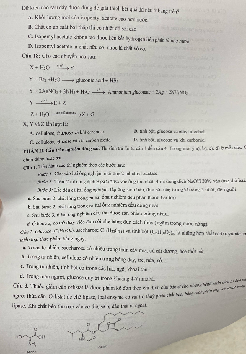 Dữ kiện nào sau đây được dùng để giải thích kết quả đã nêu ở bảng trên?
A. Khối lượng mol của isopentyl acetate cao hơn nước.
B. Chất có áp suất hơi thấp thì có nhiệt độ sôi cao.
C. Isopentyl acetate không tạo được hên kết hydrogen liên phân tử như nước.
D. Isopentyl acetate là chất hữu cơ, nước là chất vô cơ.
Câu 18: Cho các chuyển hoá sau:
X+H_2Oxrightarrow x!/t^0Y
Y+Br_2+H_2Oto gluconicacid+HBr
Y+2AgNO_3+3NH_3+H_2Oxrightarrow i° Ammonium gluconate +2Ag+2NH_4NO_3
Yxrightarrow xth^0E+Z
Z+H_2O xrightarrow as/chitditplucX+G
X, Y và Z lần lượt là:
A. cellulose, fructose và khí carbonic. B. tinh bột, glucose và ethyl alcohol.
C. cellulose, glucose và khí carbon oxide. D. tinh bột, glucose và khí carbonic.
PHÀN II. Câu trắc nghiệm đúng sai. Thí sinh trả lời từ câu 1 đến câu 4. Trong mỗi ý a), b), c), d) ở mỗi câu, từ
chọn đúng hoặc sai.
Câu 1. Tiến hành các thí nghiệm theo các bước sau:
Bước 1: Cho vào hai ống nghiệm mỗi ống 2 ml ethyl acetate.
Bước 2: Thêm 2 ml dung dịch H_2SO 4 20% vào ống thứ nhất; 4 ml dung dịch NaOH 30% vào ống thứ hai.
Bước 3: Lắc đều cả hai ống nghiệm, lắp ống sinh hàn, đun sôi nhẹ trong khoảng 5 phút, để nguội.
a. Sau bước 2, chất lỏng trong cả hai ống nghiệm đều phân thành hai lớp.
b. Sau bước 2, chất lỏng trong cả hai ống nghiệm đều đồng nhất.
c. Sau bước 3, ở hai ống nghiệm đều thu được sản phẩm giống nhau.
d. Ở bước 3, có thể thay việc đun sôi nhẹ bằng đun cách thủy (ngâm trong nước nóng).
Câu 2. Glucose (C_6H_12O_6)_3 , saccharose C_12H_22O_11) và tinh bột (C_6H_10O_5)_n. là những hợp chất carbohydrate có
nhiều loại thực phẩm hằng ngày.
a. Trong tự nhiên, saccharose có nhiều trong thân cây mía, củ cải đường, hoa thốt nốt.
b. Trong tự nhiên, cellulose có nhiều trong bông đay, tre, nứa, gỗ...
c. Trong tự nhiên, tinh bột có trong các lúa, ngô, khoai sắn...
d. Trong máu người, glucose duy trì trong khoảng 4-7 nmol/L.
Câu 3. Thuốc giảm cân orlistat là dược phẩm kê đơn theo chỉ định của bác sĩ cho những bệnh nhân điều trị bóo ph
người thừa cân. Orlistat ức chế lipase, loại enzyme có vai trò thuỷ phân chất bóo, bằng cách phân ứng với serine trong
lipase. Khi chất béo thu nạp vào cơ thể, sẽ bị đào thải ra ngoài.
。
。
HO OH
HN
NH_2
orlistat
serine