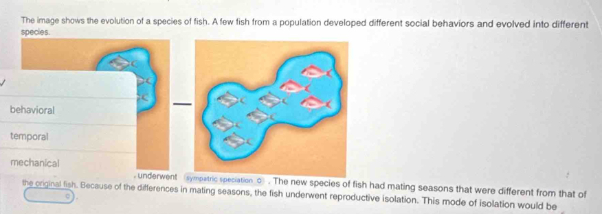 The image shows the evolution of a species of fish. A few fish from a population developed different social behaviors and evolved into different
species.
behavioral
temporal
mechanical
, underwent snew species of fish had mating seasons that were different from that of
the original fish. Because of the differences in mating seasons, the fish underwent reproductive isolation. This mode of isolation would be