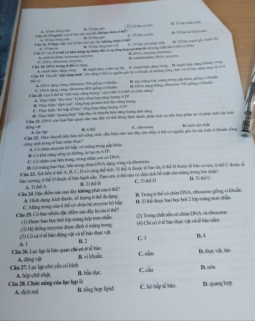A. Tề bào hồng cầu. B. Tế bảo gan. C. Tế bão cơ tim. D. Tề bào thần kinh
Câu 15. Ở người, loại tế bảo nào sau đẩy không chứa ti thể?
A. Tế bào hồng cầu. B. Tế bảo gan. C. Tế bào cơ tim. D. Tế bảo kẽ tính hoàn.
Câu 16. Ở thực vật, loại tế bào nào sau dây không chứa ti thể?
A. Tể bảo lá. B. Tế bào lông hút ở rễ C. Tế bào mô phân sinh D. Tể bào mạch gỗ, mạch rây
Cầu 17. Sở đĩ tỉ thể có khả năng tự nhân đôi và tự tổng hợp protein là vì trong chất nền ti thể có chứa
A. carbohydrate, hormone, enzyme. B. DNA, enzyme, hormone.
C. DNA, ribosome, enzyme. D. carbohydrate, DNA, enzyme.
Câu 18. DNA trong ti thể có dạng
A. mạch đơn, dạng vòng. B. mạch đơn, xoắn cục bộ. C. mạch kép, dạng vòng. D. mạch kép, dạng không vòng.
Câu 19. Thuyết “nội cộng sinh” cho rằng ti thể có nguồn gốc từ vi khuẩn dị dưỡng cộng sinh với tế bào nhân thực là vì tỉ
thể có
A. DNA dạng vòng, ribosome 70S giống vi khuẩn. B. lớp mảng kép, màng trong gắp khúc giống vi khuẩn.
C. DNA dạng vòng, ribosome 80S giống vi khuẩn.. D. DNA dạng thắng. ribosome 70S giống vi khuẩn.
Câu 20. Gọi ti thể là “nhà máy năng lượng” của ti thể vì ti thể có chức năng?
A. Thực hiện “lên men” kị khí, tổng hợp năng lượng ATP.
B. Thực hiện “dịch mã”, tổng hợp protein tích lũy năng lượng.
C. Thực hiện “hô hấp tế bào” tổng hợp năng lượng ATP.
D. Thực hiện “quang hợp” hấp thụ và chuyển hóa năng lượng ánh sáng.
Câu 21. DNA của loại bảo quan nào sau đdây có thể dùng định danh, phân tích sự tiến hóa phân tử và phát sinh các loài
động vật C. ribosome
A. lục lạp. B. ti thể. D. lưới nội chất
Câu 22. Theo thuyết tiến hóa nội cộng sinh, dấu hiệu nào sau đây cho thấy ti thể có nguồn gốc từ các loài vi khuẩn sống
cộng sinh trong tế bào nhân thực?
A. Có chứa enzyme hô hấp, có màng trong gấp khúc.
B. Có khả năng sống tự dưỡng, tự tạo ra ATP.
C. Có nhân con bên trong, trong nhân con có DNA.
D. Có màng bao bọc, bên trong chứa DNA dạng vòng và ribosome.
Câu 23. Xét bốn ti thể A, B, C, D có cùng thể tích. Ti thể A thuộc tế bào da, ti thể B thuộc tế bào cơ tim, ti thể C thuộc tế
bào xương, ti thể D thuộc tế bào bạch cầu. Theo em, ti thể nào có diện tích bề mặt của màng trong lớn nhất?
A. Ti thể A B. Ti thể B C. Ti thể D D. Ti thể C
Câu 24. Đặc điểm nào sau đây không phải của ti thể?
A. Hình dạng, kích thước, số lượng ti thể đa dạng. B. Trong ti thể có chứa DNA, ribosome giống vi khuẩn.
C. Màng trong của ti thể có chứa hệ enzyme hô hấp. D. Ti thể được bao bọc bởi 2 lớp màng tron nhẫn.
Câu 25. Có bao nhiêu đặc điểm sau đây là của ti thể?
(1) Được bao bọc bởi lớp màng kép tron nhẵn. (2) Trong chất nền có chứa DNA và ribosome
(3) Hệ thống enzyme được đính ở màng trong. (4) Chỉ có ở tế bào thực vật và tế bào nấm
(5) Có cả ở tế bào động vật và tế bào thực vật.
C. 3 D. 4
A. l B. 2
Câu 26. Lục lạp là bào quan chỉ có ở tế bào
A. động vật B. vi khuẩn. C. nấm D. thực vật, tảo
Câu 27. Lục lạp chủ yếu có hình
C. cầu D. nón
A. hộp chữ nhật. B. bầu dục.
Câu 28. Chức năng của lục lạp là
A. dịch mã B. tổng hợp lipid. C. hô hấp tế bào. D. quang họp