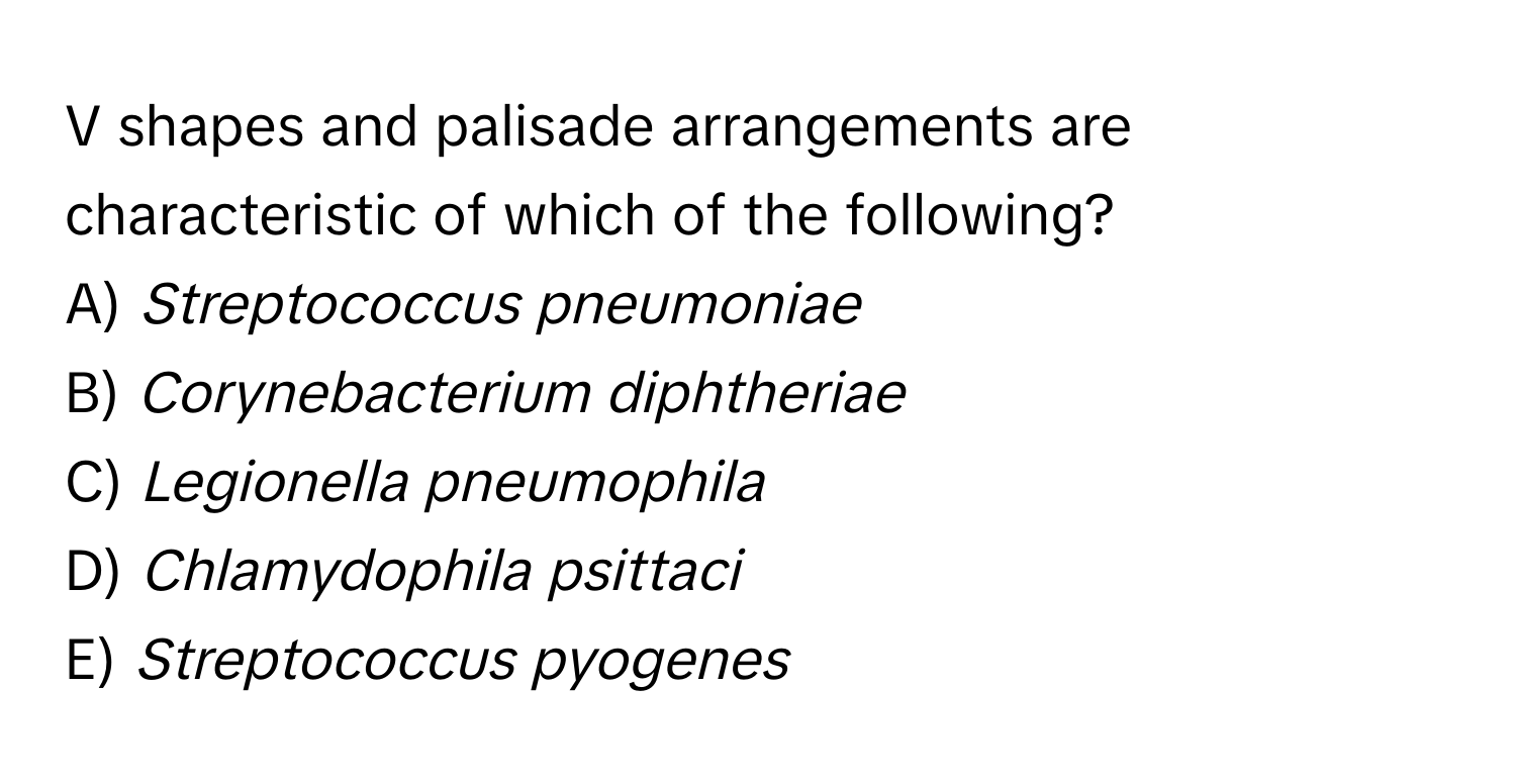 shapes and palisade arrangements are characteristic of which of the following?

A) *Streptococcus pneumoniae*
B) *Corynebacterium diphtheriae*
C) *Legionella pneumophila*
D) *Chlamydophila psittaci*
E) *Streptococcus pyogenes*