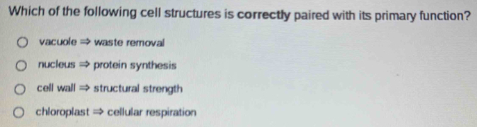 Which of the following cell structures is correctly paired with its primary function?
vacuole → waste removal
nucleus → protein synthesis
cell wall → structural strength
chloroplast → cellular respiration