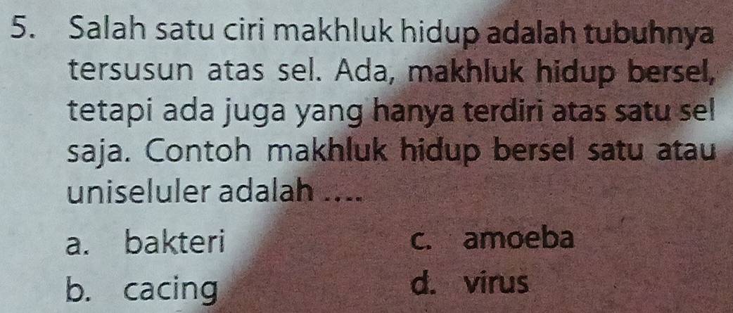 Salah satu ciri makhluk hidup adalah tubuhnya
tersusun atas sel. Ada, makhluk hidup bersel,
tetapi ada juga yang hanya terdiri atas satu sel
saja. Contoh makhluk hidup bersel satu atau
uniseluler adalah ....
a. bakteri c. amoeba
b. cacing d. virus