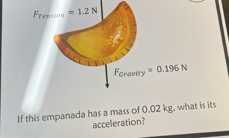 F_Gravity=0.196N
If this empanada has a mass of 0.02 kg, what is its
acceleration?