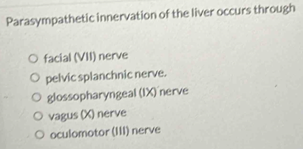 Parasympathetic innervation of the liver occurs through
facial (VII) nerve
pelvic splanchnic nerve.
glossopharyngeal (IX) nerve
vagus (X) nerve
oculomotor (III) nerve