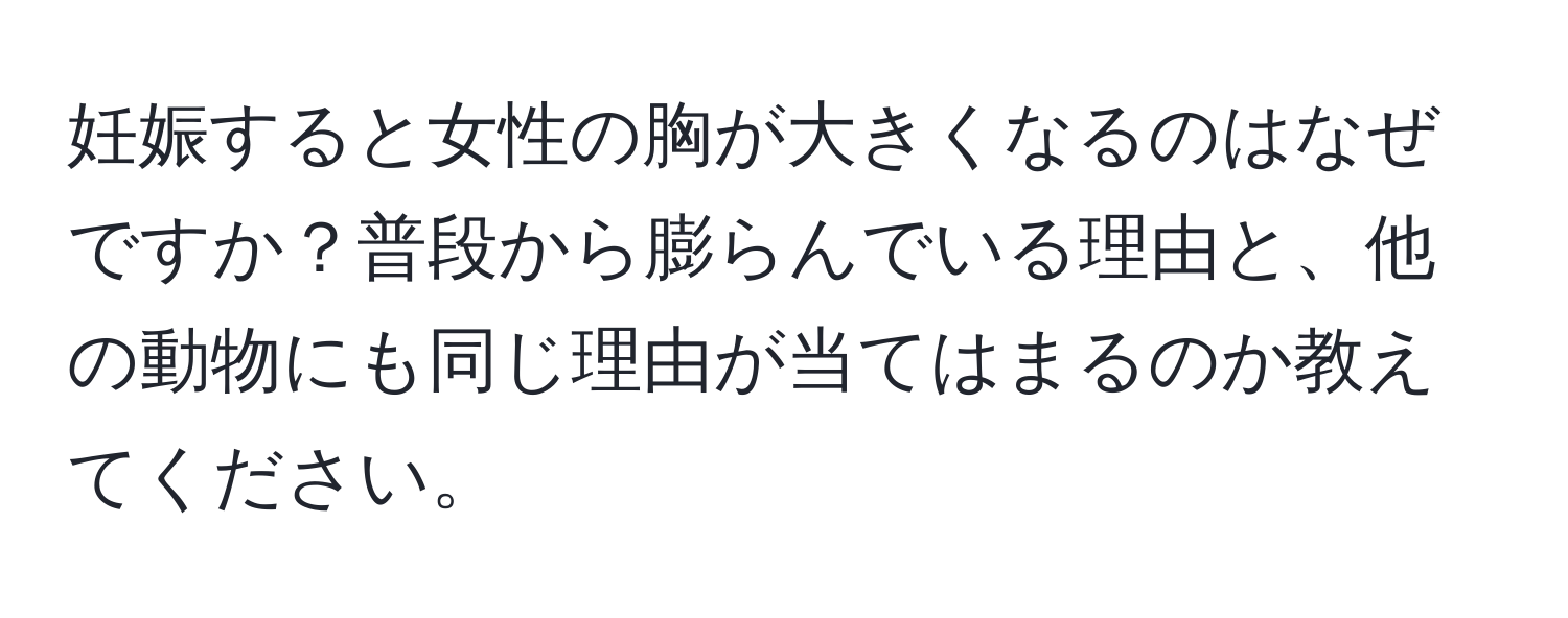 妊娠すると女性の胸が大きくなるのはなぜですか？普段から膨らんでいる理由と、他の動物にも同じ理由が当てはまるのか教えてください。