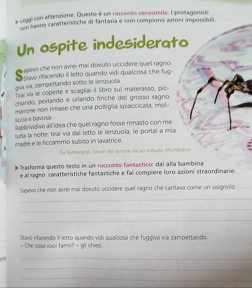 Leggi con attenzione. Questo è un racconto verosimile. I protagonisti 
non hanno caratteristiche di fantasia e non compiono azioni impossibili. 
Un ospite indesiderato 
apevo che non avrei mai dovuto uccidere quel ragno. 
Stavo rifacendo il letto quando vidi qualcosa che fug- 
giva via, zampettando sotto le lenzuola. 
Tirai via le coperte e scagliai il libro sul materasso, pic- 
chiando, pestando e urlando finché del grosso ragno 
marrone non rimase che una poltiglia spiaccicata, mol- 
liccia e bavosa. 
Rabbrividivo all’idea che quel ragno fosse rimasto con me 
tutta la notte: tirai via dal letto le lenzuola, le portai a mia 
madre e le ficcammo subito in lavatrice. 
Tui Sutherland, Storie del terrore da un minuto, Mondadori 
Trasforma questo testo in un racconto fantastico: dai alla bambina 
e al ragno caratteristiche fantastiche e fai compiere loro azioni straordinarie. 
Sapevo che non avrei mai dovuto uccidere quel ragno che cantava come un usignolo_ 
_ 
_ 
_ 
_ 
_ 
Stavo rifacendo il letto quando vidi qualcosa che fuggiva via zampettando. 
- Che cosa vuoi farmi? — gli chiesi. 
entalr 
_ 
_ 
_