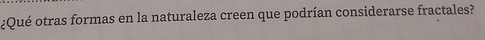¿Qué otras formas en la naturaleza creen que podrían considerarse fractales?