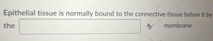 Epithelial tissue is normally bound to the connective tissue below it by 
the □ A membrane.