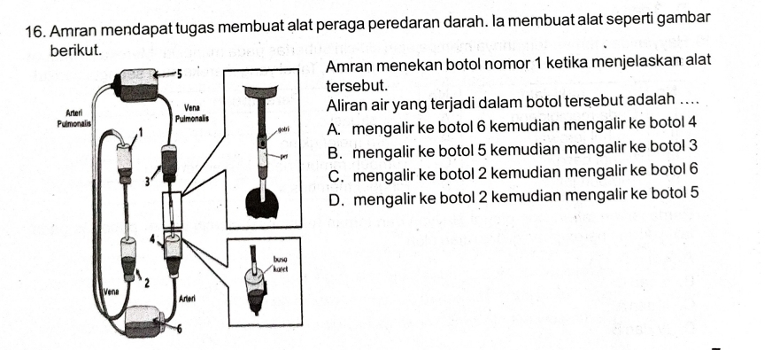 Amran mendapat tugas membuat alat peraga peredaran darah. Ia membuat alat seperti gambar
berikut.
Amran menekan botol nomor 1 ketika menjelaskan alat
tersebut.
Aliran air yang terjadi dalam botol tersebut adalah ….
A. mengalir ke botol 6 kemudian mengalir ke botol 4
B. mengalir ke botol 5 kemudian mengalir ke botol 3
C. mengalir ke botol 2 kemudian mengalir ke botol 6
D. mengalir ke botol 2 kemudian mengalir ke botol 5