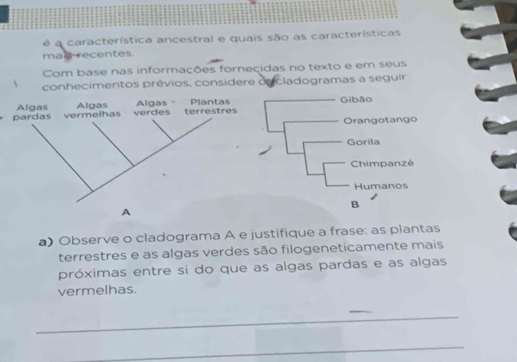 a característica ancestral e quais são as características 
mae recentes. 
Com base nas informações forneçidas no texto e em seus 
conhecimentos prévios, consídere osicladogramas a seguir. 
A 
a) Observe o cladograma A e justifique a frase: as plantas 
terrestres e as algas verdes são filogeneticamente mais 
próximas entre si do que as algas pardas e as algas 
vermelhas. 
_ 
_ 
_