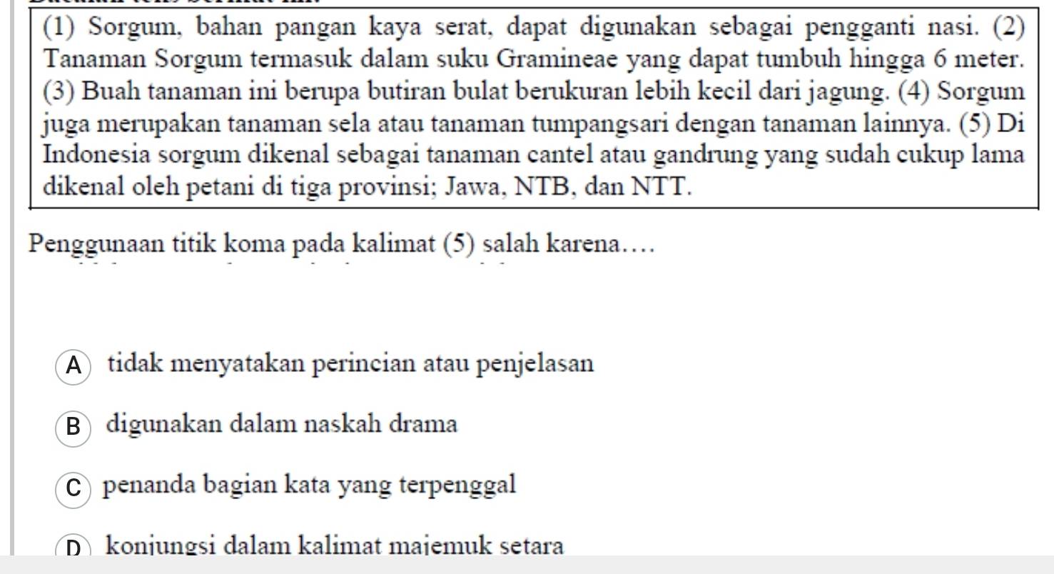 (1) Sorgum, bahan pangan kaya serat, dapat digunakan sebagai pengganti nasi. (2)
Tanaman Sorgum termasuk dalam suku Gramineae yang dapat tumbuh hingga 6 meter.
(3) Buah tanaman ini berupa butiran bulat berukuran lebih kecil dari jagung. (4) Sorgum
juga merupakan tanaman sela atau tanaman tumpangsari dengan tanaman lainnya. (5) Di
Indonesia sorgum dikenal sebagai tanaman cantel atau gandrung yang sudah cukup lama
dikenal oleh petani di tiga provinsi; Jawa, NTB, dan NTT.
Penggunaan titik koma pada kalimat (5) salah karena…
A tidak menyatakan perincian atau penjelasan
B) digunakan dalam naskah drama
C) penanda bagian kata yang terpenggal
D konjungsi dalam kalimat majemuk setara